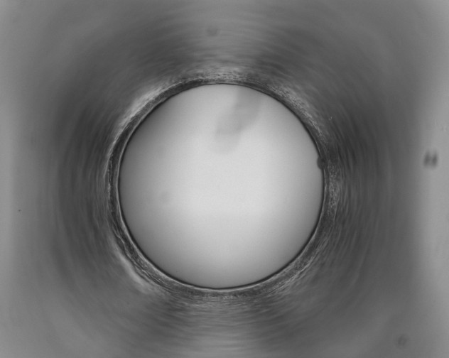 X0000090860674200707270934