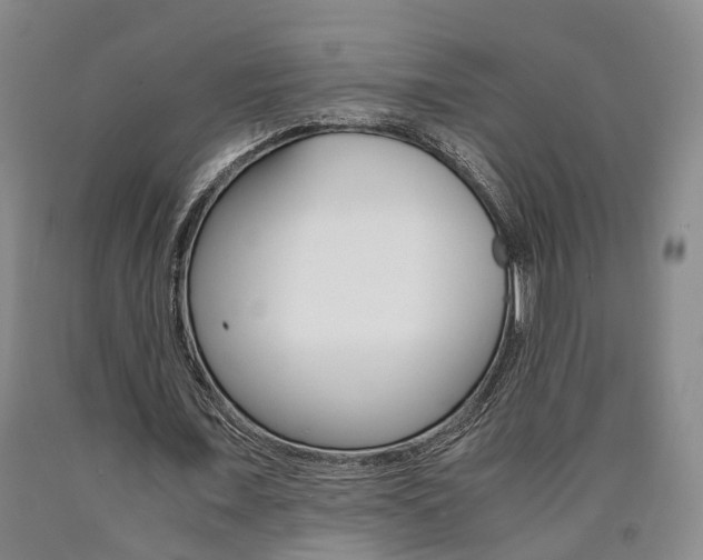 X0000090860675200707270934