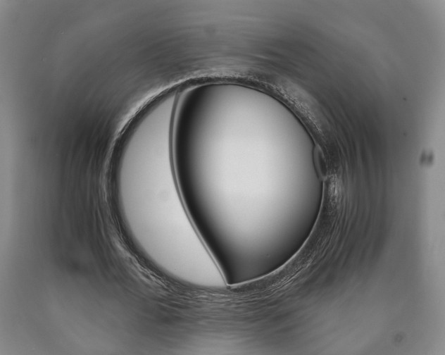 X0000090860676200707270934