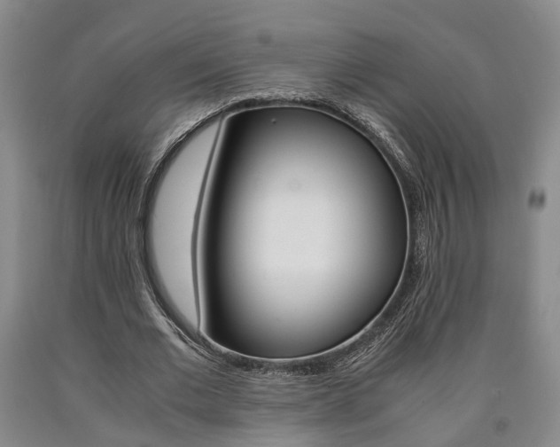 X0000090860677200707270934
