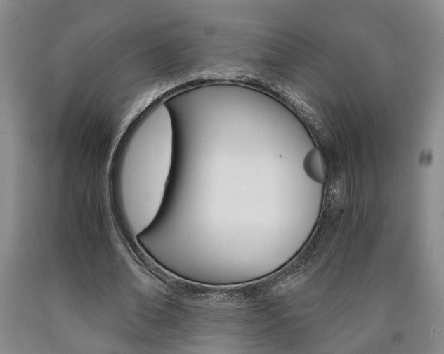 X0000090860678200707270934