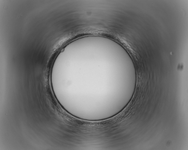 X0000090860679200707270934