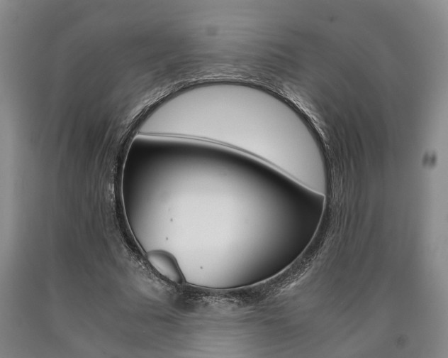 X0000090860681200707270934