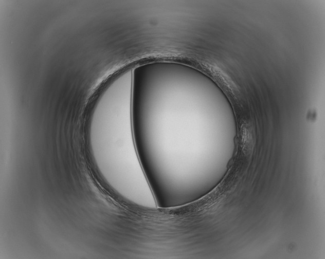 X0000090860684200707270934