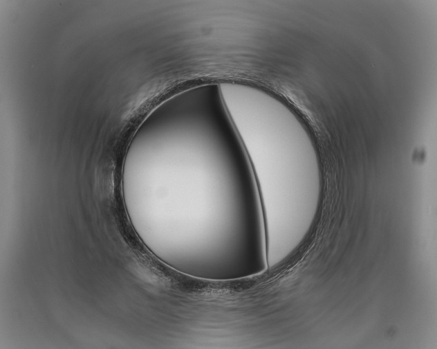 X0000090860685200707270934