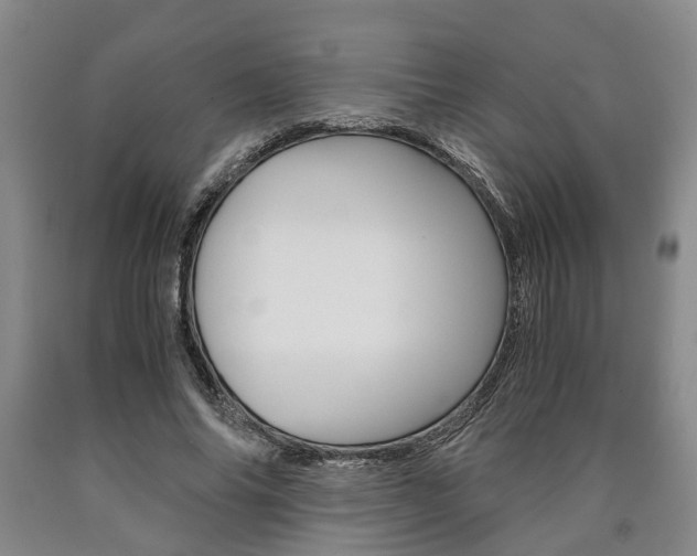 X0000090860686200707270934
