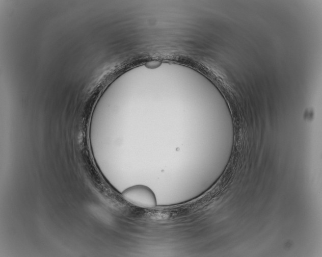 X0000090860687200707270934