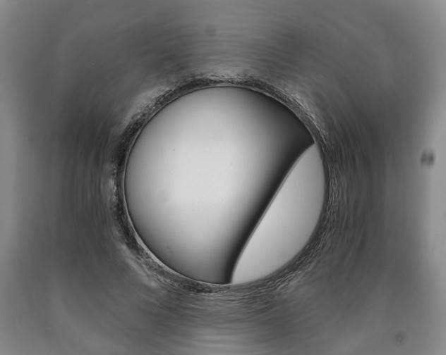 X0000090860688200707270934