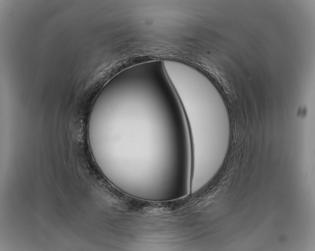 X0000090860689200707270934