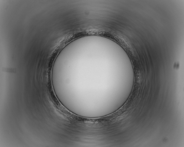 X0000090860690200707270934
