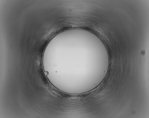 X0000090860691200707270934