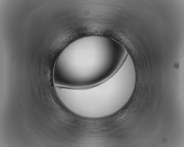 X0000090860693200707270934