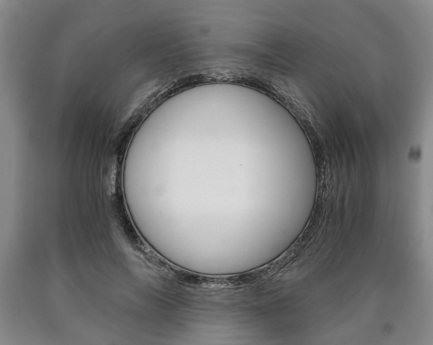 X0000090860694200707270934