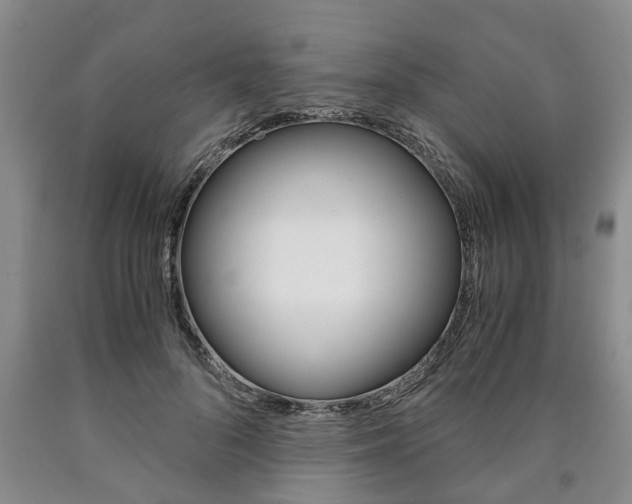 X0000090860696200707270934