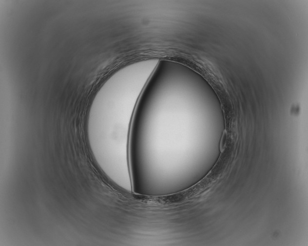 X0000090860697200707270934