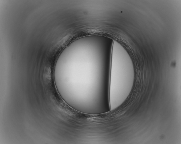 X0000090860700200707270933