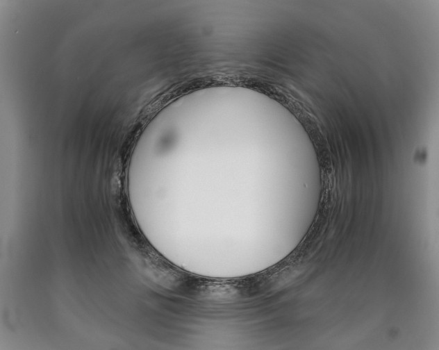 X0000090860702200707270933