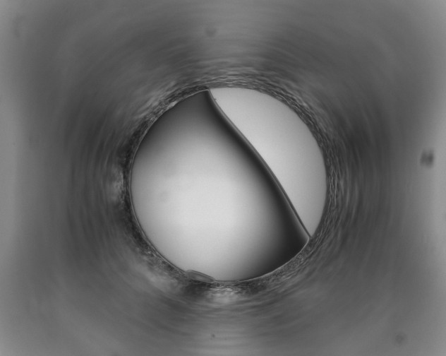 X0000090860704200707270933