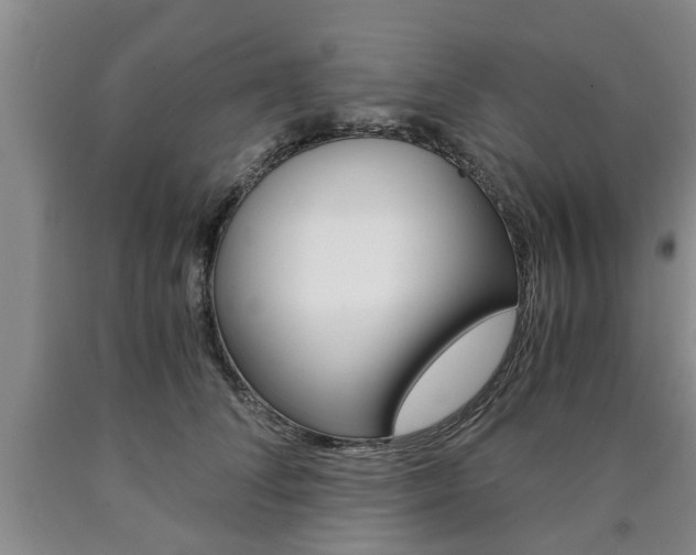 X0000090860708200707270933