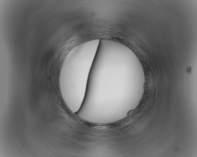X0000090860711200707270933