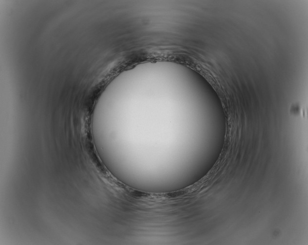 X0000090860712200707270933
