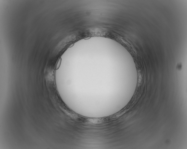 X0000090860713200707270933