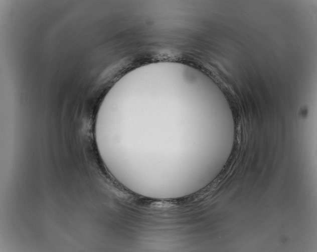 X0000090860714200707270933
