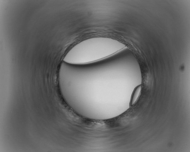 X0000090860715200707270933