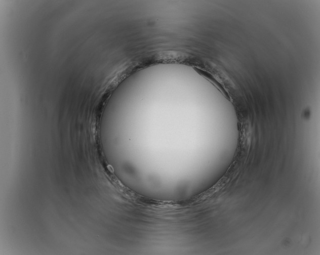 X0000090860716200707270933