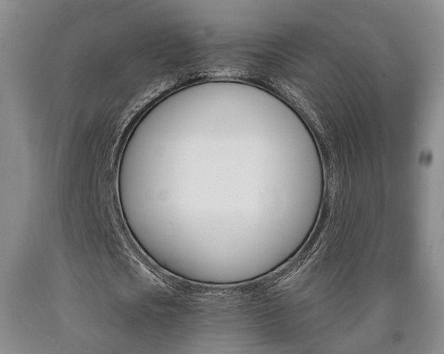 X0000090860721200707270933
