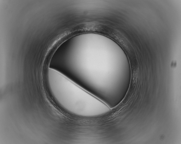 X0000090860722200707270933