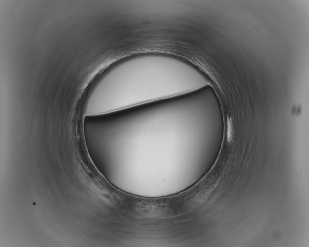 X0000090860723200707270933