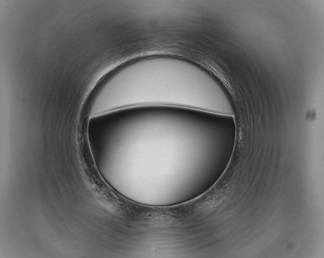 X0000090860724200707270933