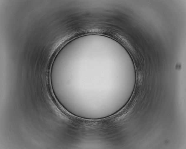 X0000090860725200707270933