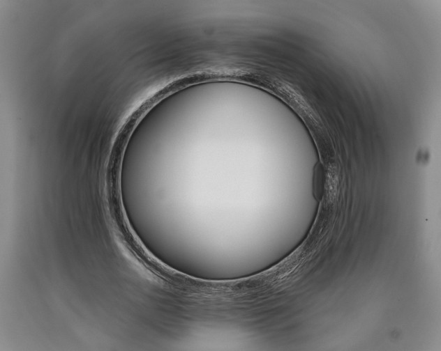 X0000090860726200707270933