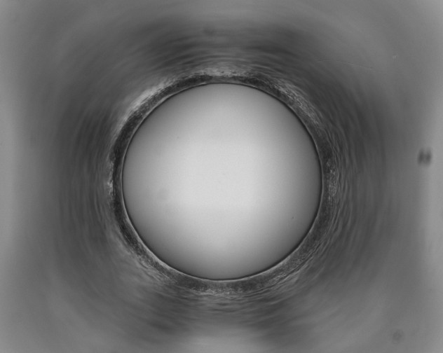 X0000090860727200707270933