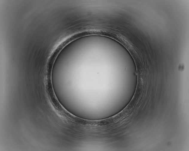 X0000090860728200707270933