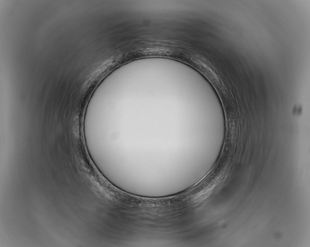 X0000090860729200707270933