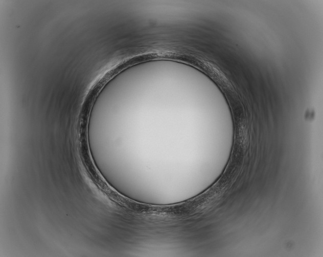 X0000090860730200707270933