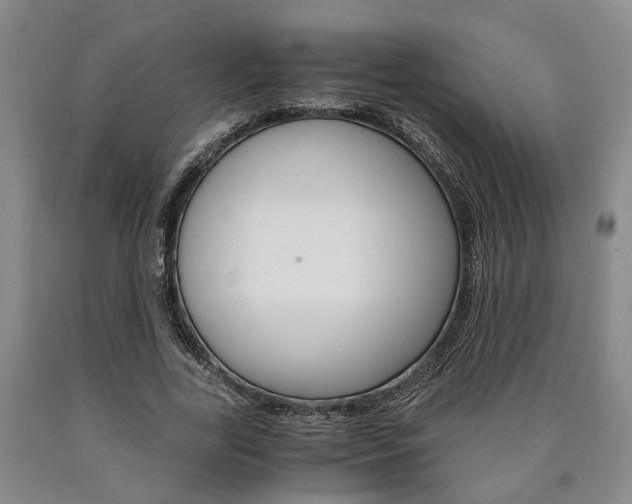 X0000090860731200707270933