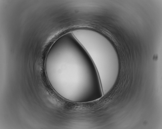 X0000090860732200707270933