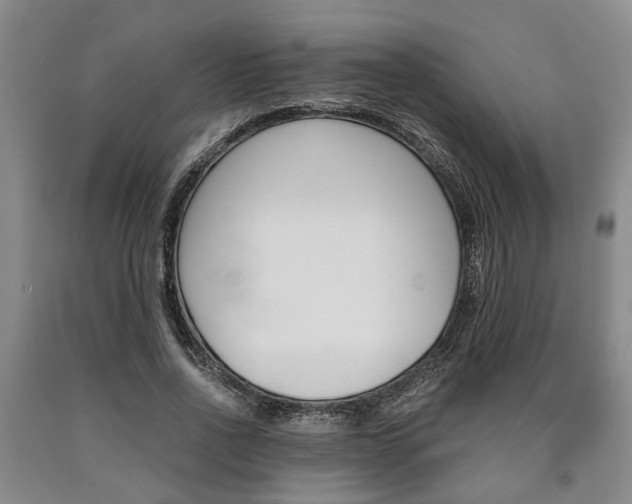 X0000090860734200707270933