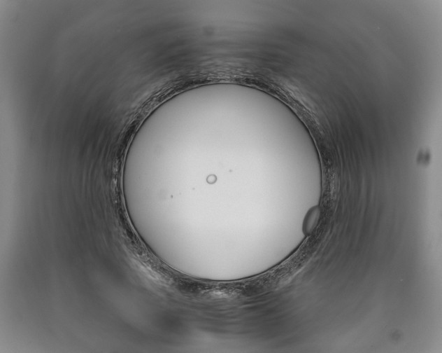 X0000090860737200707270933
