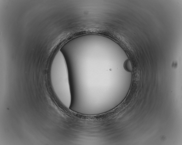 X0000090860738200707270933