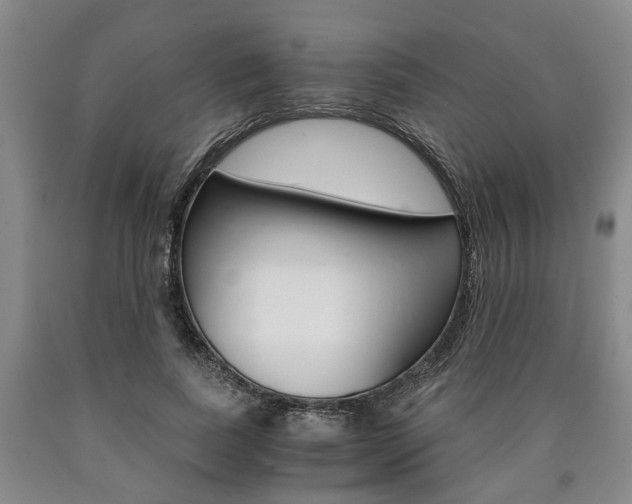 X0000090860739200707270933