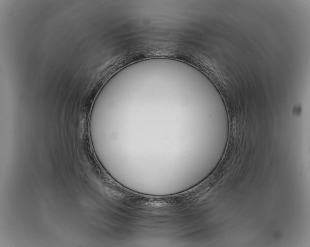 X0000090860741200707270933