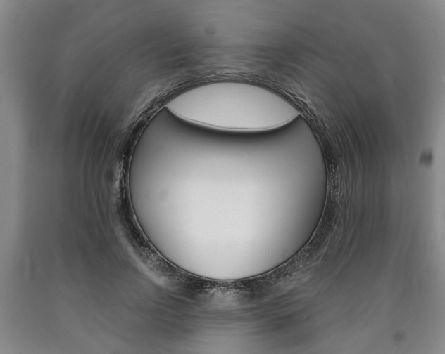 X0000090860742200707270933