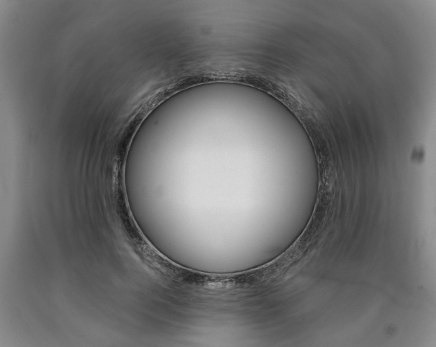 X0000090860744200707270933