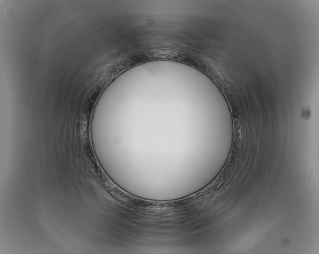 X0000090860745200707270933