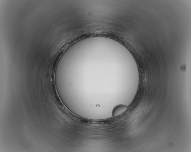 X0000090860746200707270933
